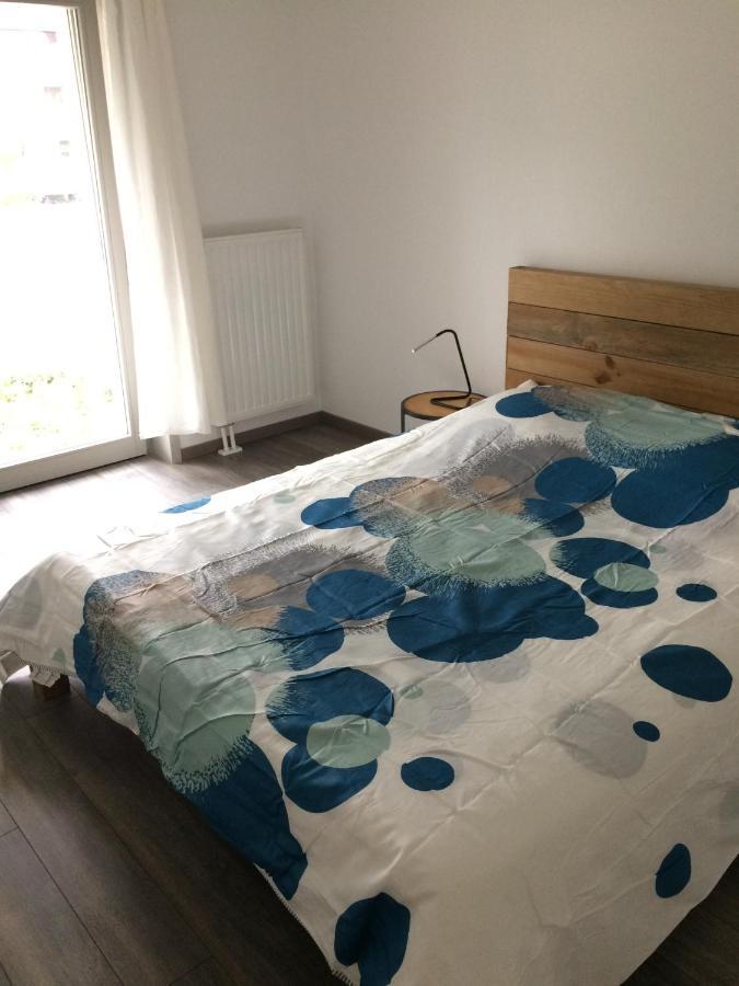 F2 Cote Ugc Climatise Plein Centre Parking Gratuit Apartment Strasbourg Ngoại thất bức ảnh