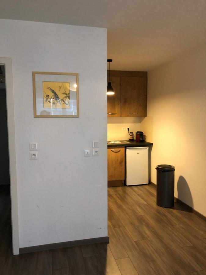 F2 Cote Ugc Climatise Plein Centre Parking Gratuit Apartment Strasbourg Ngoại thất bức ảnh